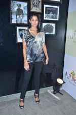 at Apicus lounge launch in Mumbai on 29th March 2012 (188).JPG